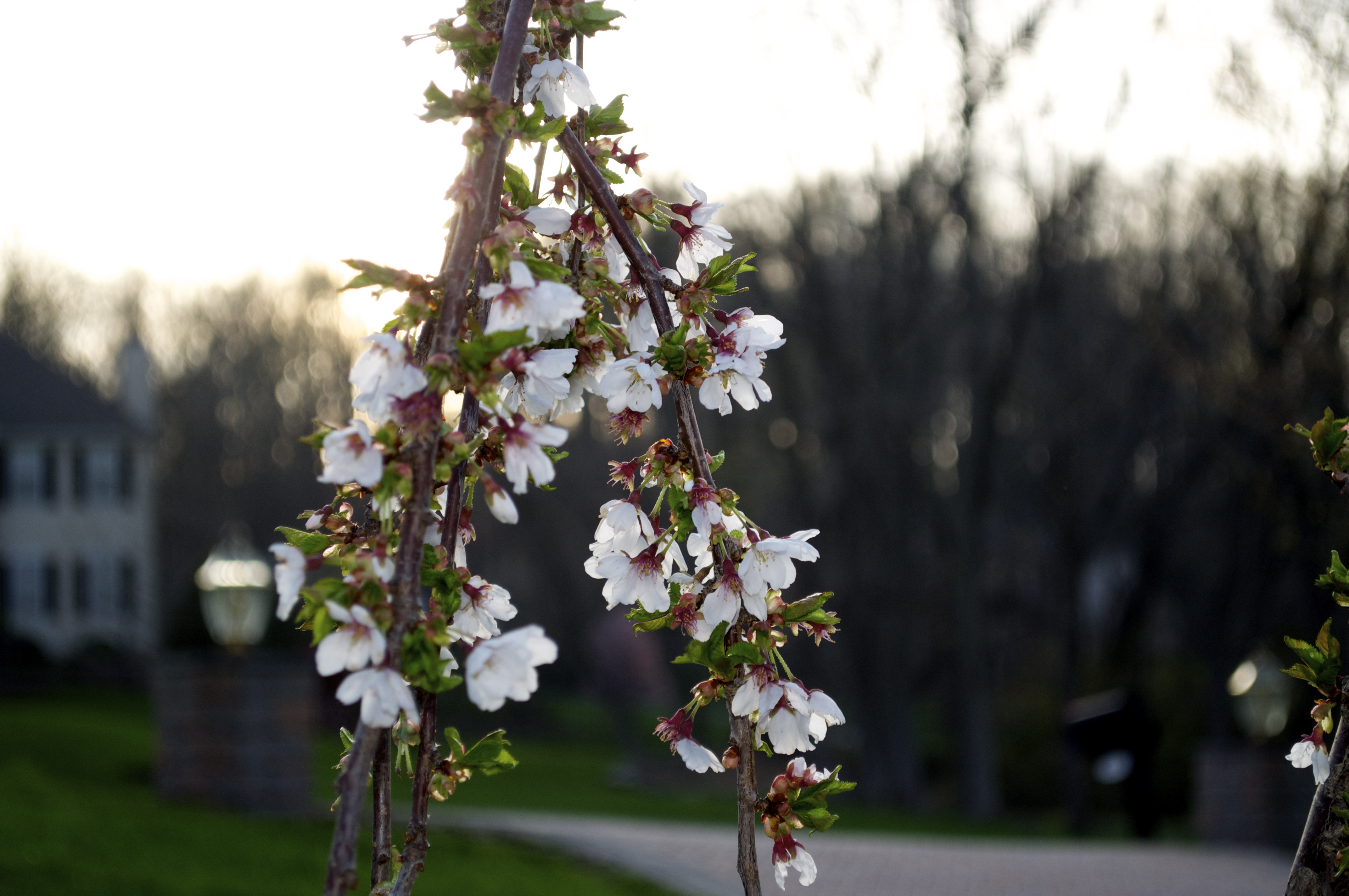 Goodbye winter, hello spring!!