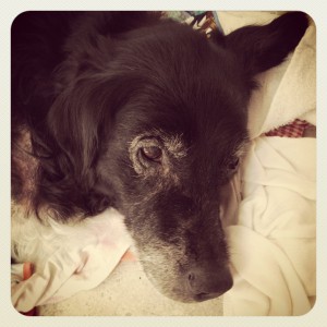 tired old lady