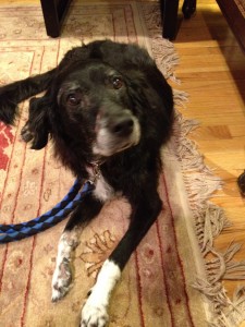 14th birthday