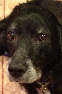 14th birthday